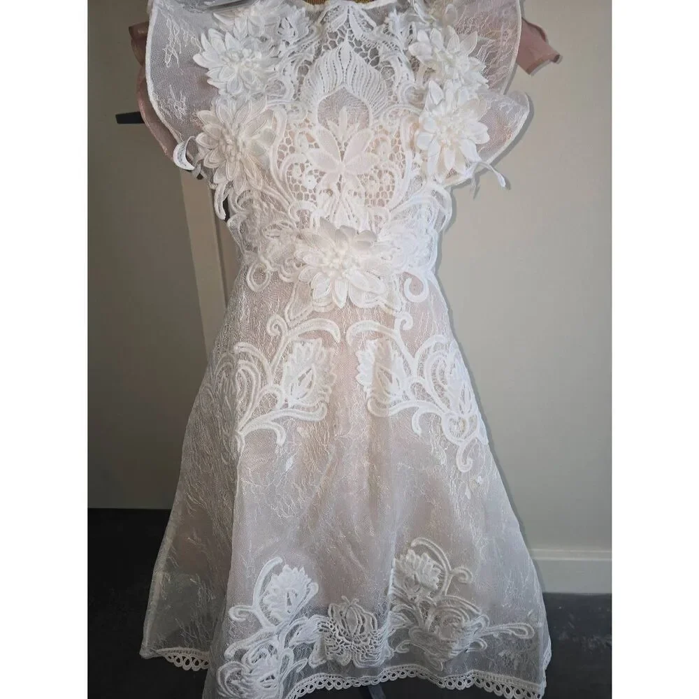 Aimili Lace Lined Dress - Picture 5 of 14